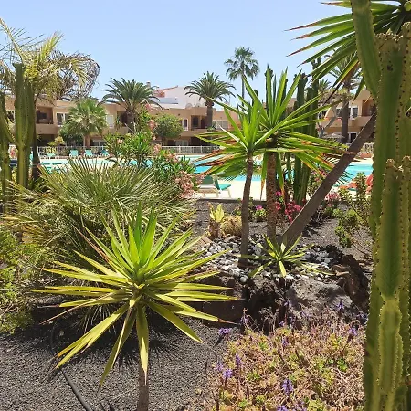 Appartamento Sunnyapartment Corralejo